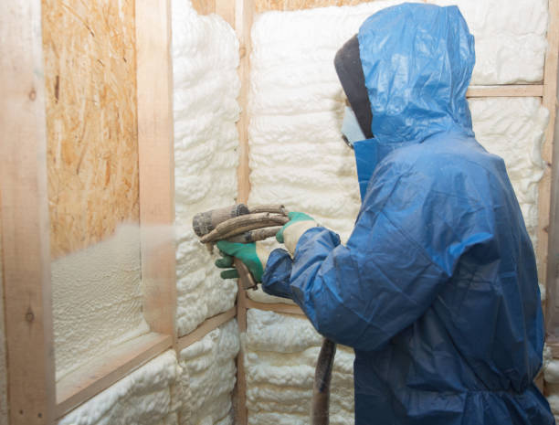 Best Attic Insulation Installation  in Dunkirk, NY